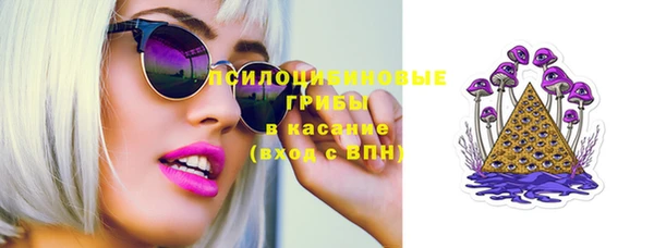 тгк Инта