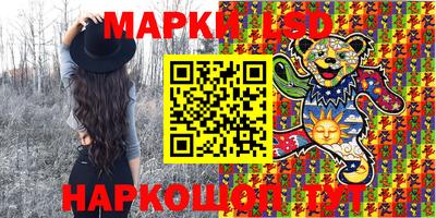 стафф Лесосибирск