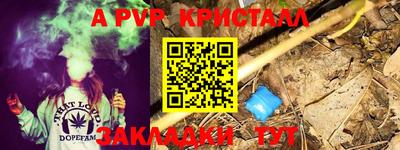 стафф Лесосибирск