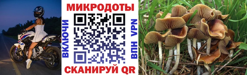 Галлюциногенные грибы мицелий Солнечногорск