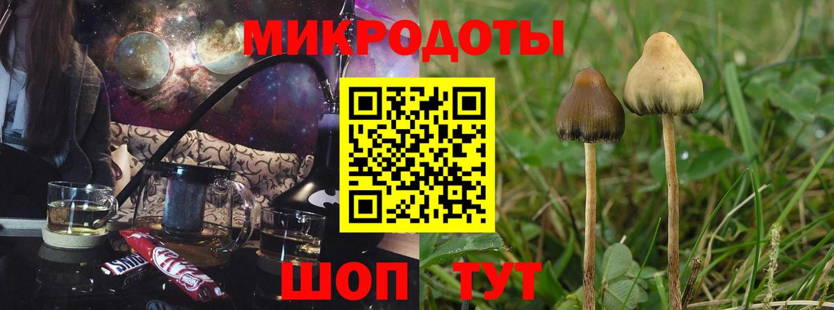 цены   Вход с VPN  Солнечногорск  Галлюциногенные грибы Cubensis 
