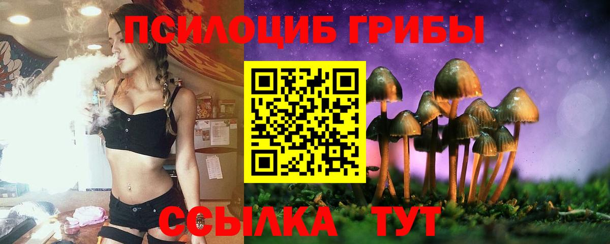 Галлюциногенные грибы ЛСД Солнечногорск