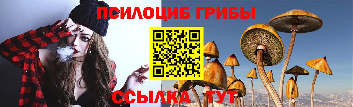 Галлюциногенные грибы Cubensis  Солнечногорск 